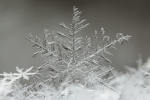 formació de flocs de neu, gel, floc de neu, a l'aire lliure, naturalesa, neu, mongolia, ulaanbaatar, hivern, gelades, congelat, símbol, creu, llum, aranya, cristall, terra, teranyina, muntanya, glacera, ornament, temperatura de fred, primer pla, cap gent, cristall de gel, decoració de Nadal, vulnerabilitat, patró, planta, festa, bellesa a la natura, decoració, fragilitat, clima extrem, adorn de Nadal, vent de neu, 4K, CC0, domini públic, lliure de regalies