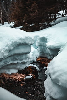 snefelt, kold, dagslys, dagtimerne, miljø, pift, frost, frost-, frostvejr, Frosset, frosne flod, is, icee, isnende, landskab, smeltning, natur, udendørs, klipper, scene, naturskøn, sæson, sne, sneklædte, snedækket, strøm, vand, vejr, vinter, vinterlandskab, kold temperatur, hvid farve, skønhed i naturen, dag, ingen mennesker, træ, fokus på forgrunden, tæt på, ro, plante, jord, dækker, scenics - natur, snedækket bjerg, istap, 5K, CC0, offentligt domæne, royaltyfrie