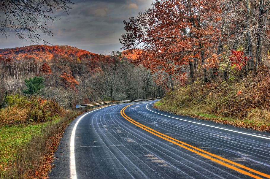 carretera, arbres, herba, manera, parc estatal de muntanya salvatge, Estats Units, ontari, Carretera bruta, grava, carrer, bosc, a l'aire lliure, naturalesa, caure, Camí, llum solar, ennuvolat, tardor, paisatge, escènic, arbre, planta, el camí a seguir, direcció, canvi, símbol, bellesa a la natura, cap gent, transport, marcatge de carreteres, signe, marcatge, cel, carretera buida, escena no urbana, dia, escenics - natura, línia divisòria, 2K