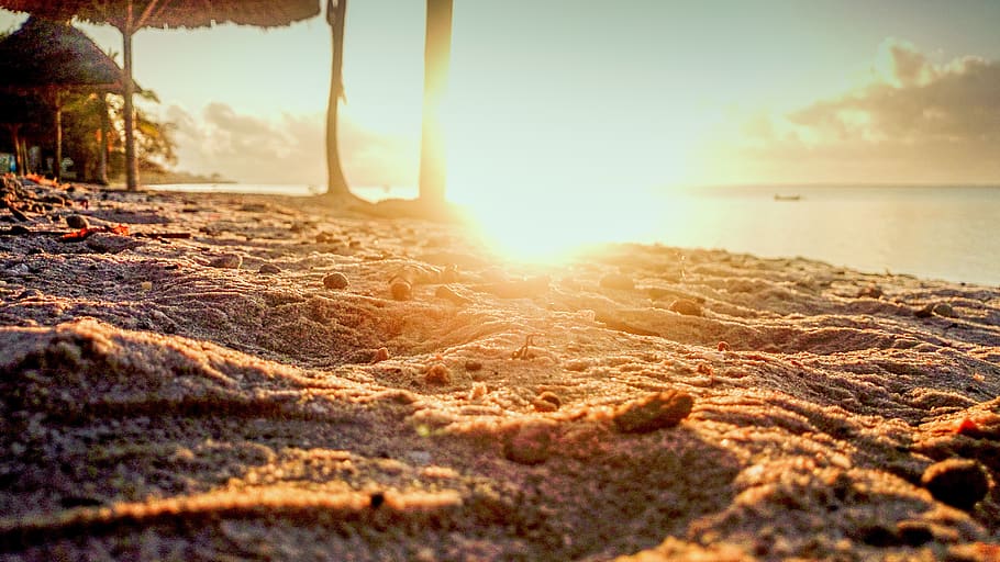 poc profund, foto del focus, sorra, platja, brillant, núvols, Costa, alba, calenta, paisatge, naturalesa, oceà, escènic, mar, paisatge marí, vora del mar, Riba, cel, estiu, sol, sortida del sol, posta de sol, vacances, aigua, terra, bellesa a la natura, tranquil·litat, llum solar, escenics - natura, cap gent, enfocament selectiu, escena tranquil·la, a l'aire lliure, idíl·lic, dia, flare de la lent, nivell superficial, 2K
