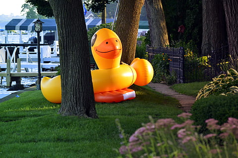 pool float, flotoare, animal, rață, bobocel, gigant, galben, peluză, cale, vară, lac, pe malul lacului, activitate, activitati, divertisment, distracţie, amuzant, pasăre, plantă, reprezentare, copac, iarbă, natură, reprezentare umană, creativitate, nici o persoana, zi, artă și sculptură, trunchi de copac, trompă, sculptură, asemănarea bărbaților, arhitectură, statuie, în aer liber, construită, parc, 4K, CC0, domeniu public, fără drepturi de autor