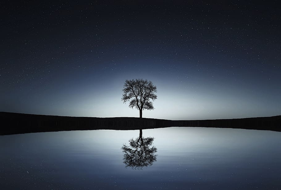 negre, arbre, cos, aigua, paisatge, naturalesa, nit, reflexió, cel, tranquil·litat, llac, escena tranquil·la, escenics - natura, bellesa a la natura, planta, espai, cap gent, estrella - espai, astronomia, silueta, davant del mar, terra, llum de la lluna, 1080P