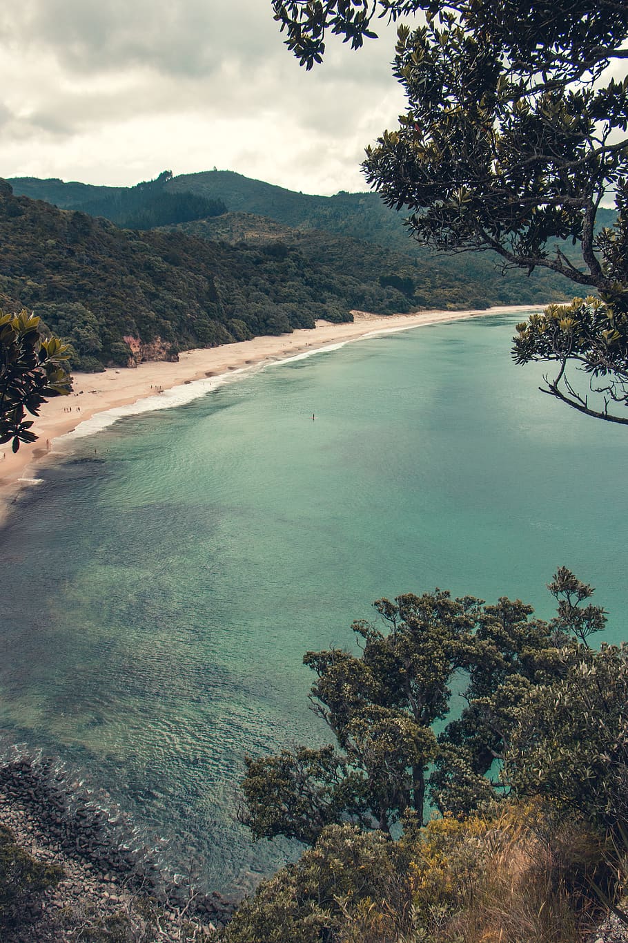 albero, foderato, beige, Spiaggia di sabbia, acqua, pianta, bellezza nella natura, scena tranquilla, scenics - natura, la tranquillità, natura, montagna, cielo, terra, giorno, nuvola - cielo, nessuno, mare, crescita, all'aperto, idilliaco, scena non urbana, color turchese, baia, 5K