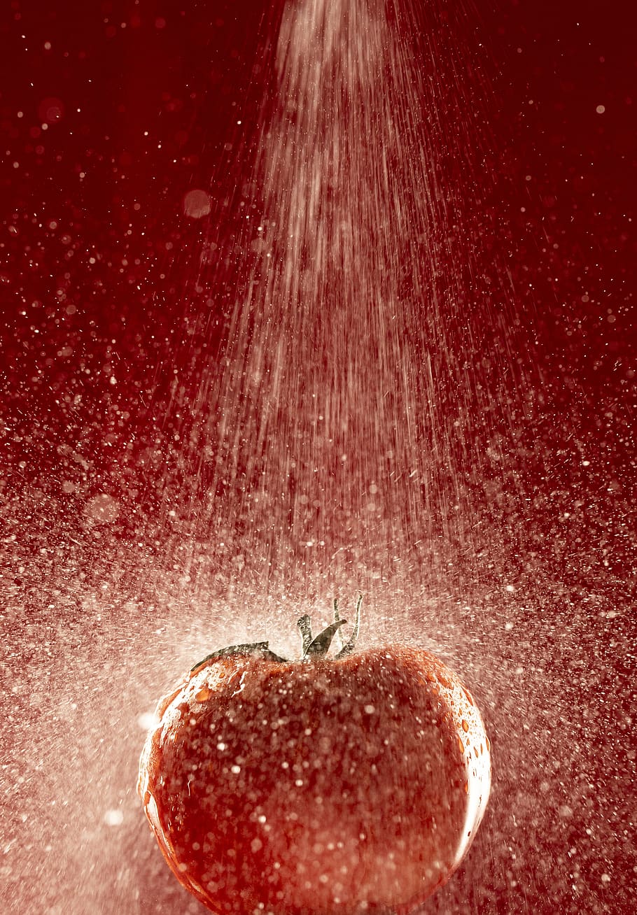 tomàquets vermells rodons, planta, fruita, menjar, poma, postres, caramel, vegetals, dolços, pastisseria, pela, maduixa, flor, rosa, anís, pebre, cirera, culinari, carbassa, espècia, menjar i beguda, alimentació saludable, vermell, benestar, primer pla, cap gent, frescor, tirar, sol objecte, tir de l'estudi, moviment, emoció positiva, a l'interior, madur, fruita de poma, fruites de baies, forma del cor, sucre en pols, brillant, 4K