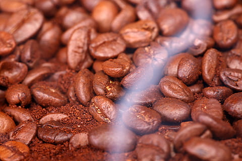 feijão, fundo, macro, padronizar, Comida, bebida, Sombrio, fotografia, monte, mocha, ninguém, agricultura, cópia de, branco, café, Castanho, horizontal, cheio, gourmet, assado, Preto, suave, fechar-se, não alcoólico, abstrato, aromatizado, quadro, Armação, perfumado, textura, semente, grupo, cor, objetos, ingrediente, espaço, imagem, ampla, texturizado, frescura, comida e bebida, grande grupo de objetos, quadro completo, abundância, origens, foco seletivo, dentro de casa, comida doce, café - bebida, bebida quente, lanche, alimentos de conveniência, comida chinesa, café da manhã, tentação, 5K, CC0, domínio público, royalty free
