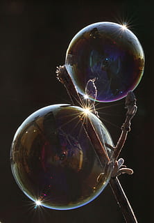 Seifenblase, Licht, Reflexion, schimmern, schwerelos, transparent, Nahansicht, Kugel, Zerbrechlichkeit, keine Leute, Natur, drinnen, Verletzlichkeit, Blase, Glas - Material, Stillleben, Linseneffekt, glänzend, Ball, Glas, Tag, Fokus auf den Vordergrund, gestalten, 2K, CC0, gemeinfrei, lizenzfrei