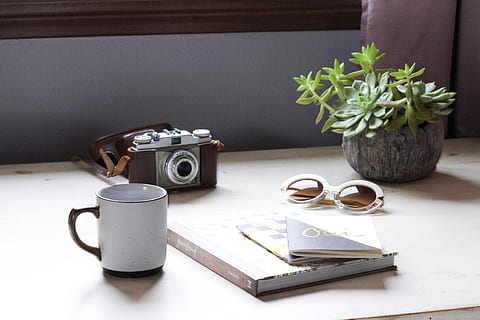 Kamera, Elektronik, Pflanze, Kaffeetasse, Tasse, Keramik, Porzellan, Kunst, Tabelle, Möbel, blühen, Blume, Holz, Baum, Vase, Krug, Topfpflanze, Regal, Sperrholz, Boden, Kamera - Fotoausrüstung, Fotografie-Themen, keine Leute, drinnen, Retro-Stil, Antiquität, Technologie, Stillleben, Fotoausrüstung, Nostalgie, alt, Becher, Veröffentlichung, Natur, Getränk, Digitalkamera, 5K, CC0, gemeinfrei, lizenzfrei