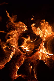 flama del bosc, foc, humà, persona, gent, Estats Units, san luis obispo, fusta, flama, registre, fosc, cremar, groc, vermell, taronja, contrast, calor, calenta, ornament, fractal, llar de foc, cremant, foc - fenomen natural, calor - temperatura, color taronja, naturalesa, foguera, nit, moviment, cap gent, primer pla, llenya, brillant, material de fusta, comunicació, fons negre, infern, 5K, CC0, domini públic, lliure de regalies