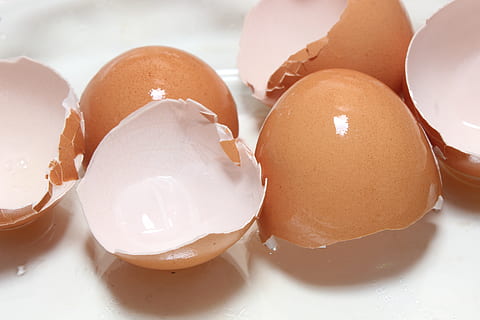 egg, mat, påske, frokost, eggeskall, innendørs, mat og Drikke, nærbilde, stilleben, spise sunt, gått i stykker, velvære, friskhet, brun, shell, sårbarhet, ingen folk, skjørhet, rå mat, hvit farge, fokusere på forgrunnen, egg kartong, eggeplomme, brett, 5K, CC0, offentlig domene, opphavsrett gratis