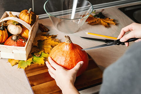 girls hands, carve, pumpkin., halloween., food and drink, food, human hand, hand, vegetable, human body part, preparation, healthy eating, freshness, indoors, pumpkin, holding, one person, table, adult, wellbeing, women, high angle view, celebration, thanksgiving, preparing food, 4K