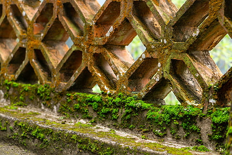 Schimmel, Grün, alt, die Architektur, Natur, Reise, nett, Weide, ecuador, joga, keine Leute, Pflanze, Tag, rostig, Nahansicht, Metall, Moos, Wachstum, verwittert, draußen, verlassen, gebaute Struktur, beschädigt, Vollbild, Land, heruntergewirtschaftet, obsolet, Rad, 5K, CC0, gemeinfrei, lizenzfrei
