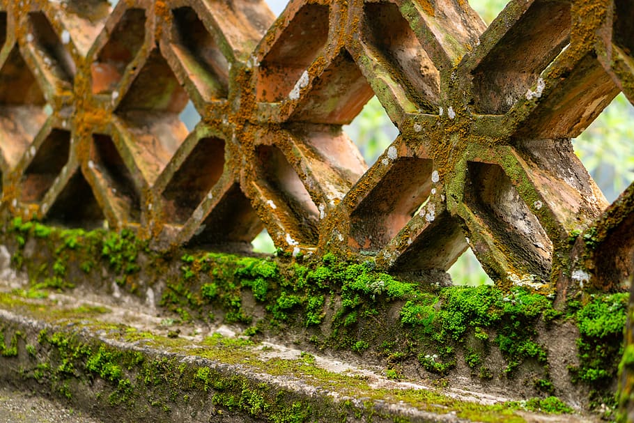 motlle, verd, vell, arquitectura, naturalesa, viatjar, bonic, pastures, ecuador, joga, cap gent, planta, dia, rovellat, primer pla, metall, molsa, creixement, resistent, a l'aire lliure, abandonat, estructura construïda, espatllat, marc complet, terra, aixafar, obsoleta, roda, 5K