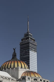 costruzione, architettura, campanile, guglia, Torre, cupola, cittadina, urbano, metropoli, città, edificio per uffici, pianta, centro, monumento, planetario, Torre dell'orologio, margherita, fiore, fiorire, margherite, struttura costruita, esterno dell'edificio, cielo, destinazioni di viaggio, cielo sereno, viaggio, turismo, nessuno, natura, credenza, copia spazio, luogo di culto, spiritualità, religione, alto - alto, all'aperto, edificio per uffici esterno, grattacielo, 5K, CC0, dominio pubblico, privo di copyright
