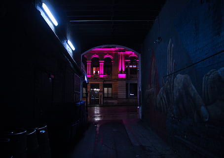 iluminação, corredor, pavimento, chão, dentro de casa, design de interiores, cidade de brisbane, cripta, leve, masmorra, brisbane, cidade, Rosa, Preto, Sombrio, Austrália, cassino, azul, luzes, beco, arquitetura, estrutura construída, arco, ninguém, iluminado, construção, noite, ausência, direção, o caminho a seguir, equipamento de iluminação, assustador, Entrada, esvaziar, porta, videogames, 4K, CC0, domínio público, royalty free