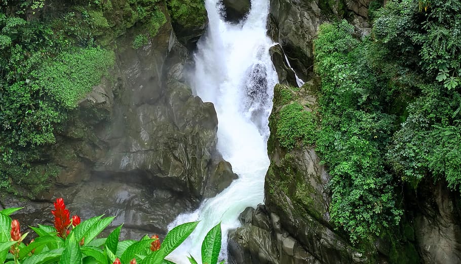 ecuador, banos, acqua, pianta, bellezza nella natura, cascata, roccia, acqua corrente, lunga esposizione, scenics - natura, movimento, solido, roccia - oggetto, natura, albero, foresta, terra, crescita, colore verde, giorno, nessuno, fluente, potere in natura, all'aperto, acqua che cade, 2K