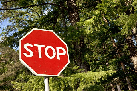 incrocio, Pericolo, giorno, foresta, arresto, icona, intersezione, legge, Messaggio, oggetto, Ottagono, al di fuori, polo, inviare, vietare, rosso, strada, ciglio della strada, segnale stradale, sicurezza, cartello, segnaletica, cielo, spazio, fermare, simbolo, testo, traffico, mezzi di trasporto, viaggio, urbano, avvertimento, bianca, parola, albero, pianta, comunicazione, segnale di stop, sceneggiatura occidentale, lettera maiuscola, segnale di pericolo, natura, crescita, nessuno, colore verde, informazione, segno di informazione, stop - singola parola, 5K, CC0, dominio pubblico, privo di copyright