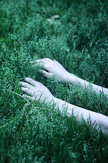 grønne græs, udendørs, plante, vegetation, finger, natur, hånd, is, Busk, krukke, vase, keramik, potteplante, urter, plantageejer, træ, sne, Skov, jord, have, græs, Mark, grøn farve, vækst, dag, menneskelig hånd, menneskelig kropsdel, selektiv fokusering, rigtige mennesker, en person, kropsdel, tæt på, menneskelig finger, menneskelig lem, 2K, CC0, offentligt domæne, royaltyfrie