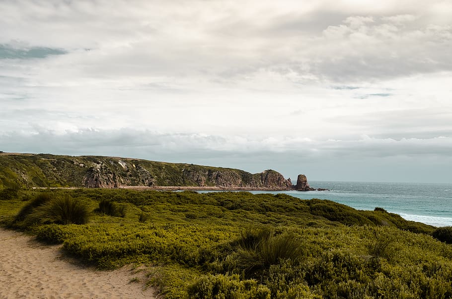 campo di erba verde, all'aperto, mantello woolamai, Australia, erba, paesaggio, tranquillo, calmo, nube, cielo, scogliera, sabbia, acqua, mare, costiero, costa, spiaggia, wafe, oceano, nuvola - cielo, bellezza nella natura, scena tranquilla, scenics - natura, pianta, la tranquillità, terra, natura, scena non urbana, idilliaco, nessuno, ambiente, giorno, architettura, 4K