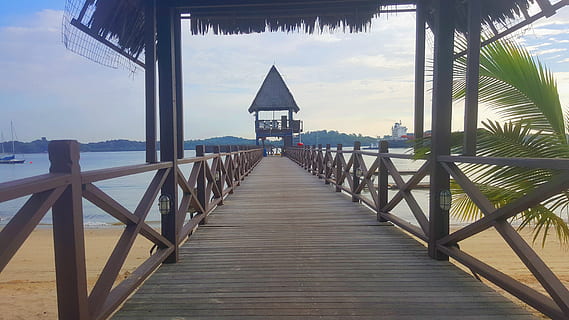 strand, sommer, sti, drøm, æstetisk, skur, ø, eksotisk, kokosnød, håndflade, Kokos palme, Palme træ, træ, træ-, boardwalk, singapore, x, pol, søjle, support, arkitektur, bygget struktur, vand, vejen frem, himmel, rækværk, træ - materiale, hav, natur, mole, dag, retning, havepavillon, faldende perspektiv, ingen mennesker, skønhed i naturen, ro, horisont over vand, udendørs, træpaneler, 5K, CC0, offentligt domæne, royaltyfrie