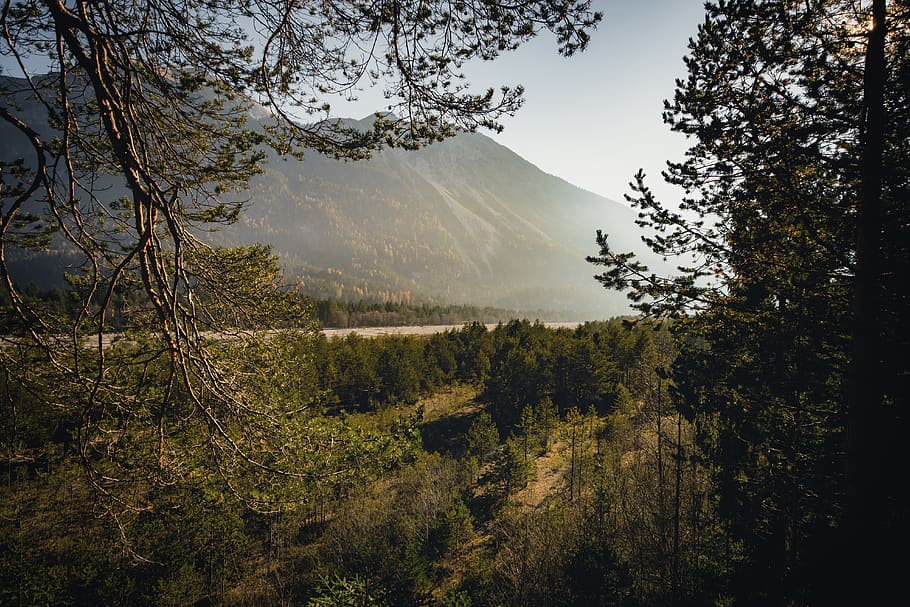 zelené listy, strom, rostlina, abies, jedle, jehličnatý strom, Příroda, slunečního světla, krajina, venku, západ slunce, les, údolí, světlice, světlo, borovice, zelená, scenérie, horský kopec, stráň, příroda zelená, krása v přírodě, klid, klidné scény, scenics - příroda, růst, hora, přistát, nebe, mimoměstské scény, nikdo, životní prostředí, idylický, den, zelená barva, dálkový, jehličnatého stromu, 5K