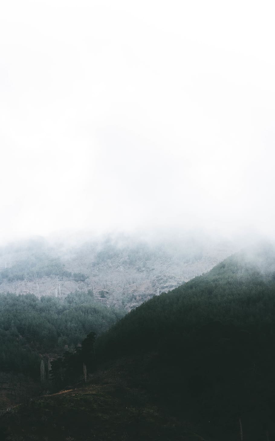 montagna nebbiosa, natura, tempo metereologico, nebbia, all'aperto, grigio, montagna, cresta, foschia, nebbioso, umano, persona, vette, freddo, foresta, autunno, inverno, alberi, campagna, scenics - natura, ambiente, albero, bellezza nella natura, la tranquillità, scena tranquilla, copia spazio, nessuno, paesaggio, pianta, cielo, scena non urbana, giorno, catena montuosa, foresta pluviale, 4K