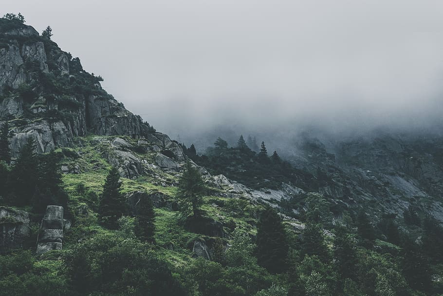 verd, fulles, arbres, temps de boira, Alps, penya-segat, núvols, alba, la llum del dia, boira, bosc, trist, herba, paisatge, muntanya, roques, muntanya rocosa, vall, desert, boscos, arbre, planta, bellesa a la natura, escenics - natura, naturalesa, medi ambient, terra, cel, cap gent, tranquil·litat, escena no urbana, escena tranquil·la, rock, rock - object, Serra, a l'aire lliure, pi, arbre de coníferes, cim de muntanya, 5K