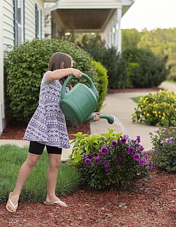 photo, fille, arrosage, fleurs, actif, enfant actif, arrière-cour, enfant, jardin, jardinage, herbe, horticulture, en plein air, pré-adolescence, Fleurs pourpres, arrosoir, jeune fille, plante, Vrais gens, femmes, toute la longueur, une personne, croissance, la nature, vue arrière, modes de vie, les femelles, enfance, cour avant ou arrière, Vêtements décontractés, journée, filles, Activité de loisir, plante à fleurs, fleur, coiffure, 5K, CC0, domaine public, libre de droits