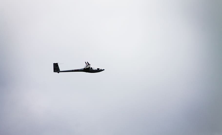 gris, avió, cel, vol, avions, transport, planador, Austràlia, matrei in osttirol, bombarder, avió de guerra, volant, avió de línia, aeroport, camp d’avió, vehicle aeri, vista d’angle baix, manera de transport, en moviment, naturalesa, cap gent, dia, còpia espai, a l'aire, moviment, a l'aire lliure, fauna animal, vertebrats, ocell, temes d'animals, directament a sota, 4K