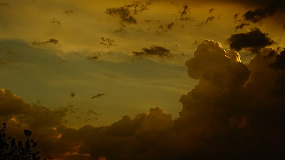 storm clouds, storm, clouds, wheather, sky, cloud - sky, sunset, beauty in nature, silhouette, tranquility, scenics - nature, tranquil scene, nature, no people, orange color, low angle view, idyllic, outdoors, tree, plant, dramatic sky, non-urban scene, environment, ominous, 5K, CC0, public domain, royalty free