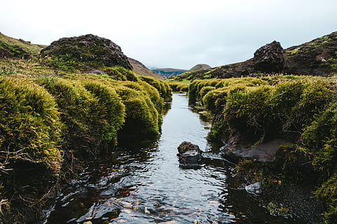 arbustos, alrededor, Fresco, corriente de agua, montañas, fondo, arbusto, nube, nubes, nublado, verde, paisaje, musgo, planta, estanque, reflexión, rock, cielo, corriente, fauna silvestre, claro, ambiente, bosque, agua dulce, hierba, verdor, hojas, natural, naturaleza, sombra, piedra, agua, paisajes - naturaleza, belleza en la naturaleza, tierra, tranquilidad, roca - objeto, árbol, sólido, nadie, escena no urbana, día, al aire libre, corriente - agua que fluye, agua que fluye, fluido, 2K, CC0, dominio público, libre de derechos