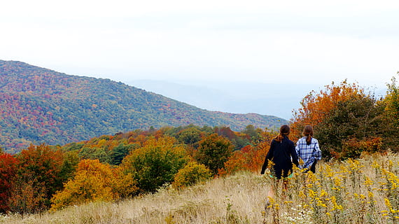 united states, max patch, trees, fall, follow, friends, mountains, autumn, plant, beauty in nature, tree, two people, nature, togetherness, mountain, adult, change, real people, scenics - nature, leisure activity, men, day, couple - relationship, land, lifestyles, walking, tranquility, outdoors, 4K, CC0, public domain, royalty free