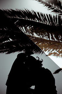 explore, unique, art, abstract, create, girl, summer, summer time, palm tree, tree, silhouette, one person, sky, nature, real people, focus on foreground, lifestyles, day, architecture, leisure activity, outdoors, men, plant, unrecognizable person, built structure, roof, tropical climate, 5K, CC0, public domain, royalty free