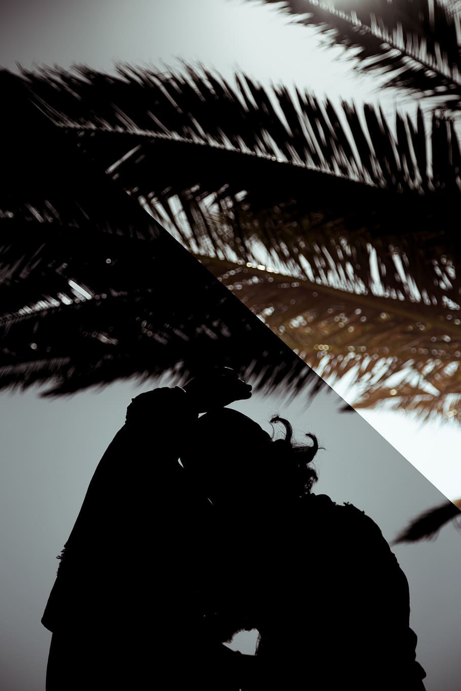 explore, unique, art, abstract, create, girl, summer, summer time, palm tree, tree, silhouette, one person, sky, nature, real people, focus on foreground, lifestyles, day, architecture, leisure activity, outdoors, men, plant, unrecognizable person, built structure, roof, tropical climate, 5K