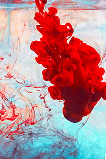 rosso, inchiostro, giallo, blu, foto, sfondi, textures, astratto, creativo, acqua, subacqueo, mare, natura, avvicinamento, nessuno, pianta fiorita, fiore, in casa, dissoluzione, bellezza nella natura, pianta, vulnerabilità, animali allo stato selvatico, temi animali, marino, composizione floreale, 4K, CC0, dominio pubblico, privo di copyright