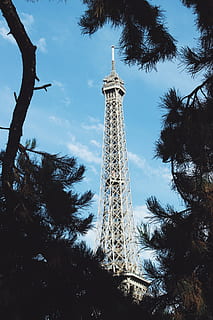grigio, Torre, circondato, Pino, giorno, pianta, albero, costruzione, guglia, architettura, campanile, Francia, Parigi, abies, abete, Trocadéro, conifera, natura, arte, vegetazione, cittadina, città, urbano, viaggio, Inquadratura dal basso, alto - alto, struttura costruita, cielo, nessuno, metallo, storia, all'aperto, il passato, ramo, destinazioni di viaggio, tronco d'albero, crescita, 5K, CC0, dominio pubblico, privo di copyright