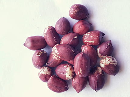 kacang tanah, terpencil, putih, backround, kacang, kacang kacangan, tumbuhan polong, benih, merah, merapatkan, makanan, makanan dan minuman, makan sehat, kesegaran, buah, kesejahteraan, masih hidup, dalam ruangan, tidak ada orang, sekelompok besar objek, tepat di atas, latar belakang putih, tampilan sudut tinggi, meja, tembakan studio, buah berry, kelompok, alam, 4K, CC0, domain publik, bebas royalti