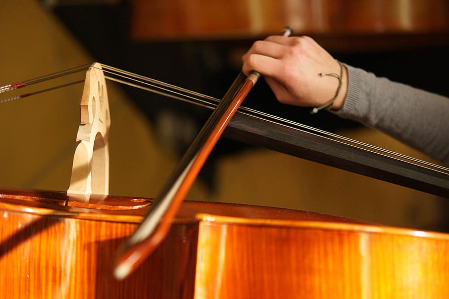 persona que juga violoncel, mà humana, mà, una persona, part del cos humà, instrument musical, música, a l'interior, músic, material de fusta, cultura i entreteniment artístic, equipament musical, instrument de corda, jugant, adult, habilitat, artista, música clàssica, centrar-se en primer pla, rendiment, arc - equipament musical, extremitat humana, 5K