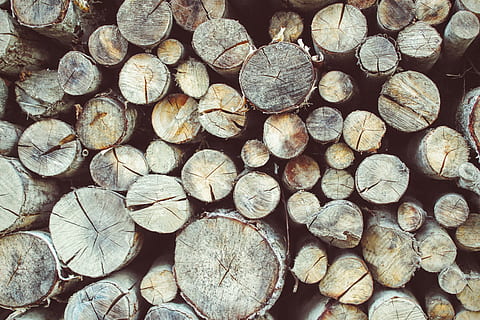 treetrunk, log, timber, full frame, wood, large group of objects, backgrounds, firewood, stack, abundance, wood - material, lumber industry, tree, no people, deforestation, woodpile, forest, nature, heap, fuel and power generation, textured, outdoors, 4K, CC0, public domain, royalty free
