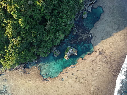 zielone drzewa nad morzem, wysoki kąt widzenia, woda, piękno natury, dzień, Natura, wylądować, zielony kolor, żadnych ludzi, roślina, spokój, scenics - natura, wzrost, plaża, morze, na dworze, spokojna scena, skała, idylliczny, scena pozamiejska, w kolorze turkusowym, 4K, CC0, domena publiczna, darmowe zdjęcia