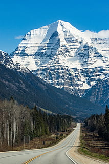 bjergtop, bjerg, sne, spids, natur, is, gletscher, udendørs, mount robson, vej, Canada, hovedvej, bjergkæde, Skov, sneklædte, Sky, træ, våbenskjold, fjern, rejse, kold temperatur, vinter, transportmidler, scenics - natur, skønhed i naturen, retning, vejen frem, snedækket bjerg, landskab, himmel, ingen mennesker, miljø, dag, rolig scene, 5K, CC0, offentligt domæne, royaltyfrie