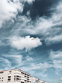 skyhøje, ørn, bygning, Sky, himmel, Forenede Stater, melbourne, by-, vejr, natur, udendørs, måge, fugl, cumulus, grå, boliger, flyvende, blå, lyse, sollys, flyvningen, sky - himmel, bygning udvendig, arkitektur, bygget struktur, lav vinkel visning, Midt i luften, dyre temaer, et dyr, hvirveldyr, dyr, dag, dyreliv, dyr i naturen, by, spredte vinger, ingen mennesker, 2K, CC0, offentligt domæne, royaltyfrie