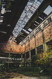 mattone, costruzione, finestra, architettura, Francia, natura, urbano, albero, rovine, soffitto, edifici, abbandonato, città, urbex, edificio fatiscente, pianta, Torre, lucernario, veranda, fabbrica, struttura costruita, obsoleto, nessuno, giorno, vecchio, esterno dell'edificio, danneggiato, Inquadratura dal basso, corri giù, all'aperto, intemperie, cattiva condizione, declino, deterioramento, rovinato, 4K, CC0, dominio pubblico, privo di copyright