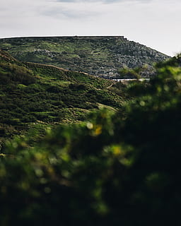 arbres verds, naturalesa, a l'aire lliure, camp, turó, mellieha, ghajn tuffieha bay, paisatge, verd, vertical, malta, penya-segats, turons, altiplà, pendent, terra, aigua, oceà, línia de costa, Costa, mar, planta, cel, bellesa a la natura, cap gent, muntanya, color verd, tranquil·litat, dia, escena tranquil·la, medi ambient, escenics - natura, creixement, enfocament selectiu, arbre, núvol - cel, escena no urbana, 5K, CC0, domini públic, lliure de regalies