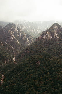 muntanya de boira, durant el dia, muntanya, naturalesa, pendent, a l'aire lliure, arbre, planta, Serra, parc nacional de seoraksan, Corea del Sud, abies, avet, vegetació, pic, conífera, camp, Parc Nacional, bosc, núvol, penya-segat, escenics - natura, medi ambient, paisatge, bellesa a la natura, cap gent, tranquil·litat, escena tranquil·la, dia, cel, vista d’angle alt, terra, vall, destinacions de viatge, escena no urbana, cim de muntanya, pi, 5K, CC0, domini públic, lliure de regalies