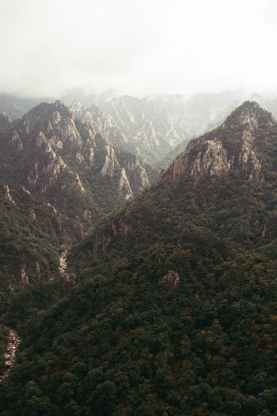 muntanya de boira, durant el dia, muntanya, naturalesa, pendent, a l'aire lliure, arbre, planta, Serra, parc nacional de seoraksan, Corea del Sud, abies, avet, vegetació, pic, conífera, camp, Parc Nacional, bosc, núvol, penya-segat, escenics - natura, medi ambient, paisatge, bellesa a la natura, cap gent, tranquil·litat, escena tranquil·la, dia, cel, vista d’angle alt, terra, vall, destinacions de viatge, escena no urbana, cim de muntanya, pi, 5K