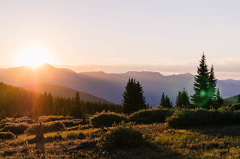 alberi durante il tramonto, albero, tramonto, Alba, foresta, le boreas passano la strada, Breckenridge, stati Uniti, pianta, abies, conifera, abete, flora, cielo, natura, all'aperto, montagna, pino, erba, cielo rosso, crepuscolo, bellezza nella natura, scenics - natura, scena tranquilla, la tranquillità, ambiente, scena non urbana, paesaggio, sole, luce del sole, terra, nessuno, idilliaco, crescita, campo, albero di conifere, 4K, CC0, dominio pubblico, privo di copyright