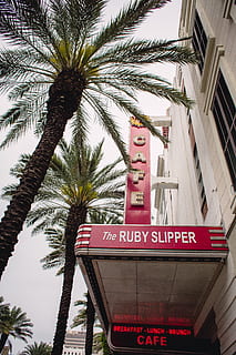 ruby slipper sign, palm tree, tree, arecaceae, plant, home decor, building, vintage, new orleans, ruby slipper, nola, summer, architecture, symbol, tower, outdoors, garden, arbour, handrail, banister, sign, communication, text, western script, tropical climate, information, building exterior, no people, low angle view, information sign, built structure, nature, red, day, city, guidance, 5K, CC0, public domain, royalty free