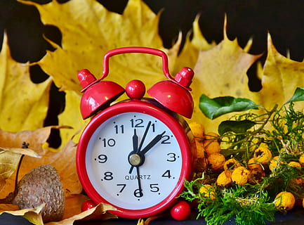 clock, alarm clock, wintertime, conversion, time, time of, clock face, time indicating, timepiece, chronograph, old, hour, memory, accuracy, winter time change, minute hand, october, winter, autumn, number, plant part, close-up, leaf, instrument of time, still life, change, nature, indoors, no people, plant, vegetable, table, flower, flowering plant, hour hand, 5K, CC0, public domain, royalty free