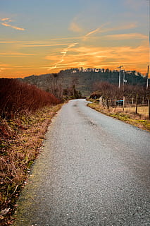 fall, atumn, sunset, road, grey, winter, landscape, nature, cold, trees, sky, mountains, outdoors, sun, clouds, woods, wintry, atmosphere, rest, frost, mood, idyllic, golden hour, red sky, direction, the way forward, transportation, diminishing perspective, cloud - sky, plant, no people, tranquil scene, tranquility, beauty in nature, scenics - nature, orange color, environment, tree, land, vanishing point, long, 5K, CC0, public domain, royalty free