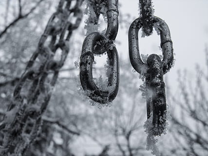 freddo, catena, ghiaccio, inverno, congelato, la neve, brina, ghiacciato, invernale, chiacchierata, cielo, serpente, blu, rettile, animali, specie, schneeflaeche, luce, acqua, bianca, montagne, natura, metallo, nessuno, concentrarsi sulle conoscenze acquisite, avvicinamento, sospeso, giorno, albero, forza, all'aperto, arrugginito, messa a fuoco selettiva, pianta, connessione, sicurezza, ramo, 2K, CC0, dominio pubblico, privo di copyright